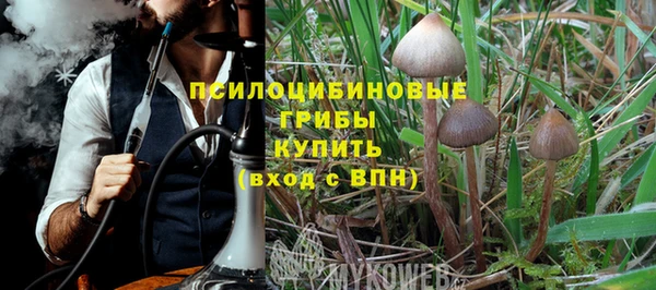 шишки Беломорск