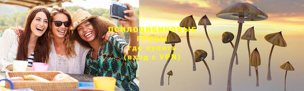 шишки Беломорск