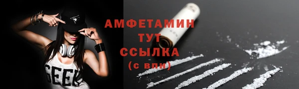 молекула духа Белоозёрский