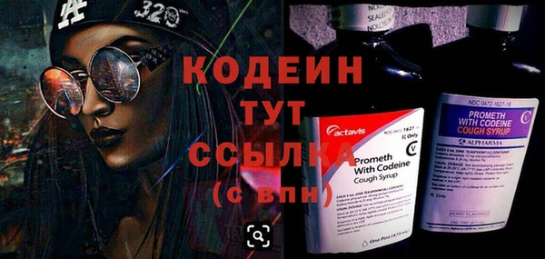 шишки Беломорск