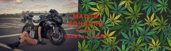 молекула духа Белоозёрский