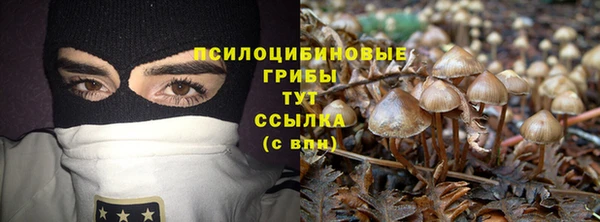мяу мяу мука Богданович